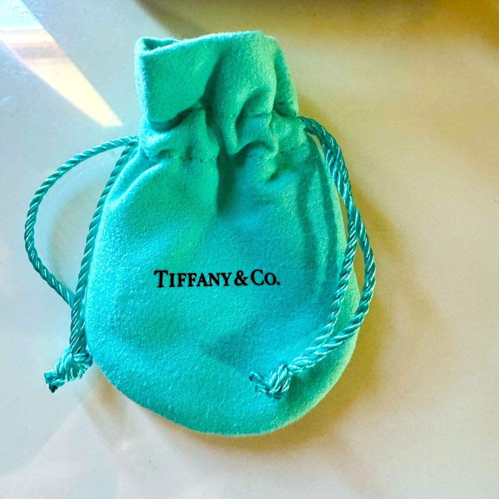 💎💎Beautiful Tiffany Co. Dusty Small Suede Draw💎💎